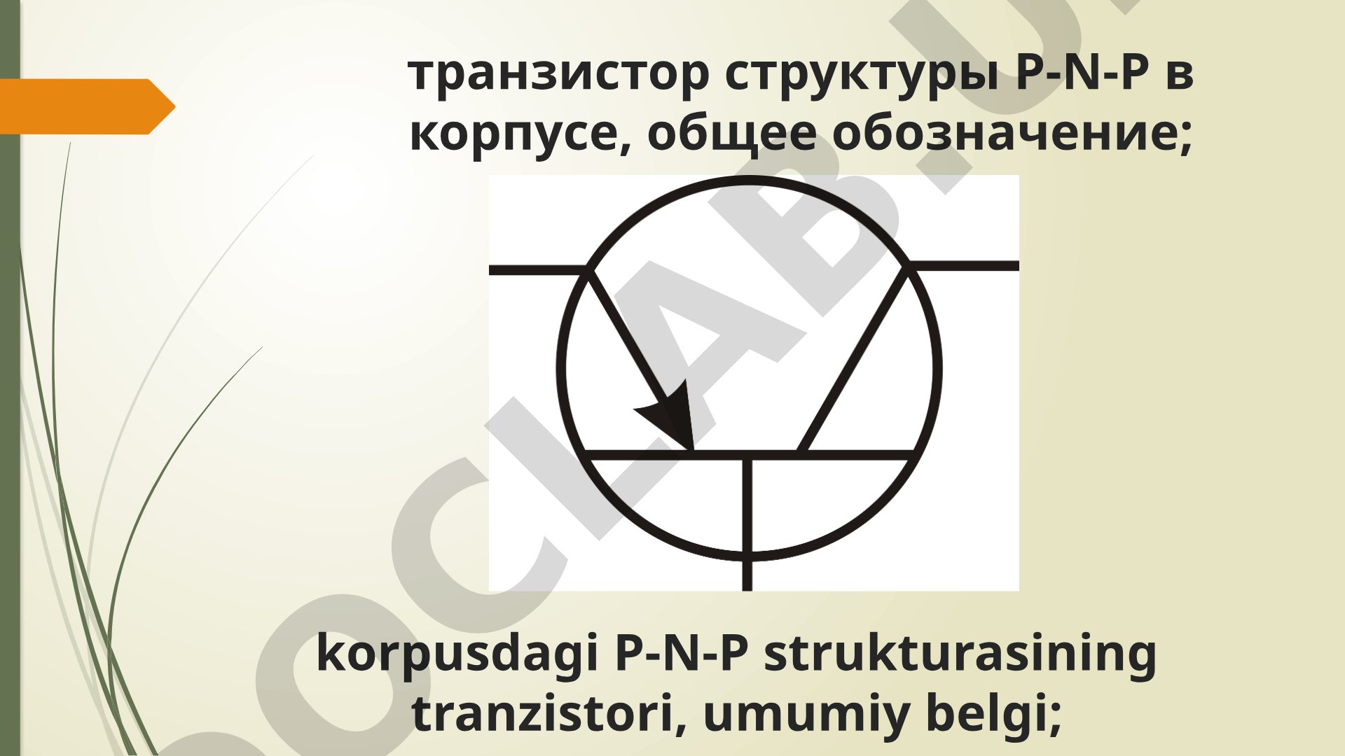 Tranzistorlar va diodlar taqdimoti