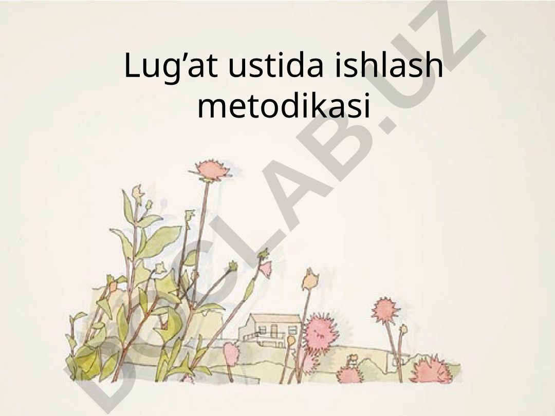 Lug’at ustida ishlash metodikasi