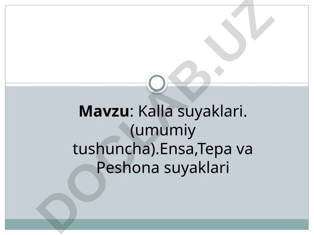 Kalla suyaklari: umumiy tushuncha, ensa, tepa va peshona suyaklari