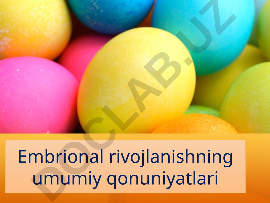 Embrional rivojlanishning umumiy qonuniyatlari