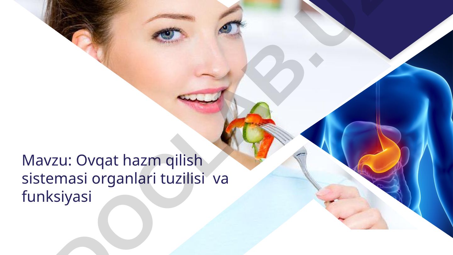 Ovqat hazm qilish sistemasi organlari tuzilisi va funksiyasi
