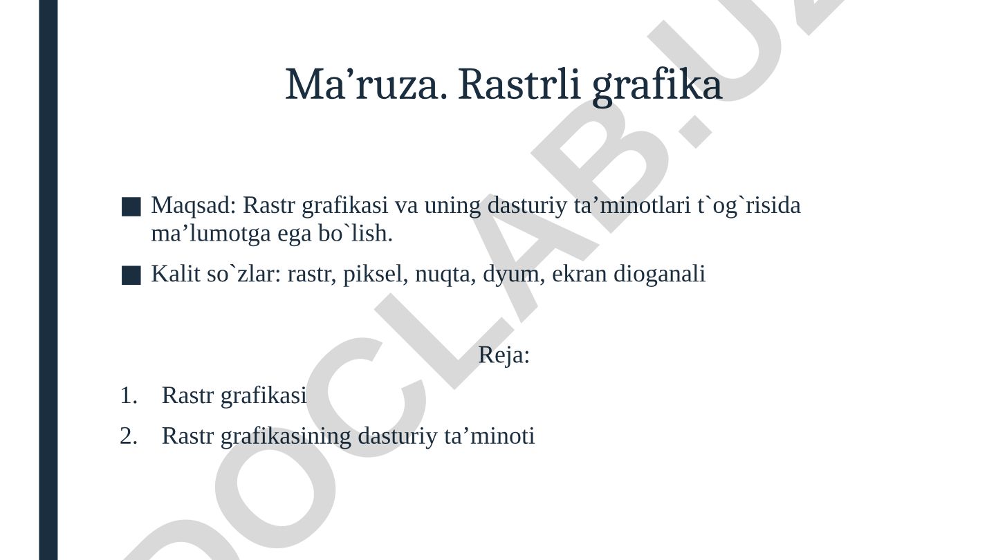 Rastrli grafika va uning dasturiy ta'minoti