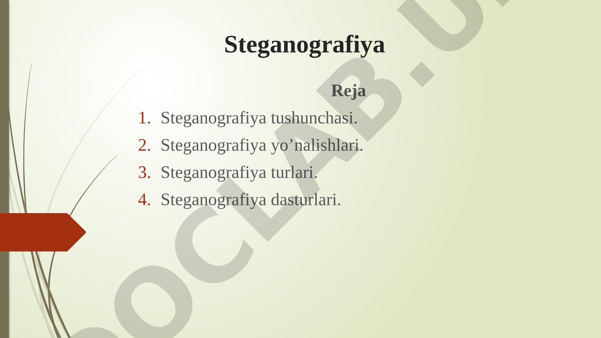 Steganografiya taqdimoti