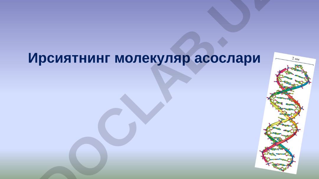 Ирсиятнинг молекуляр асослари