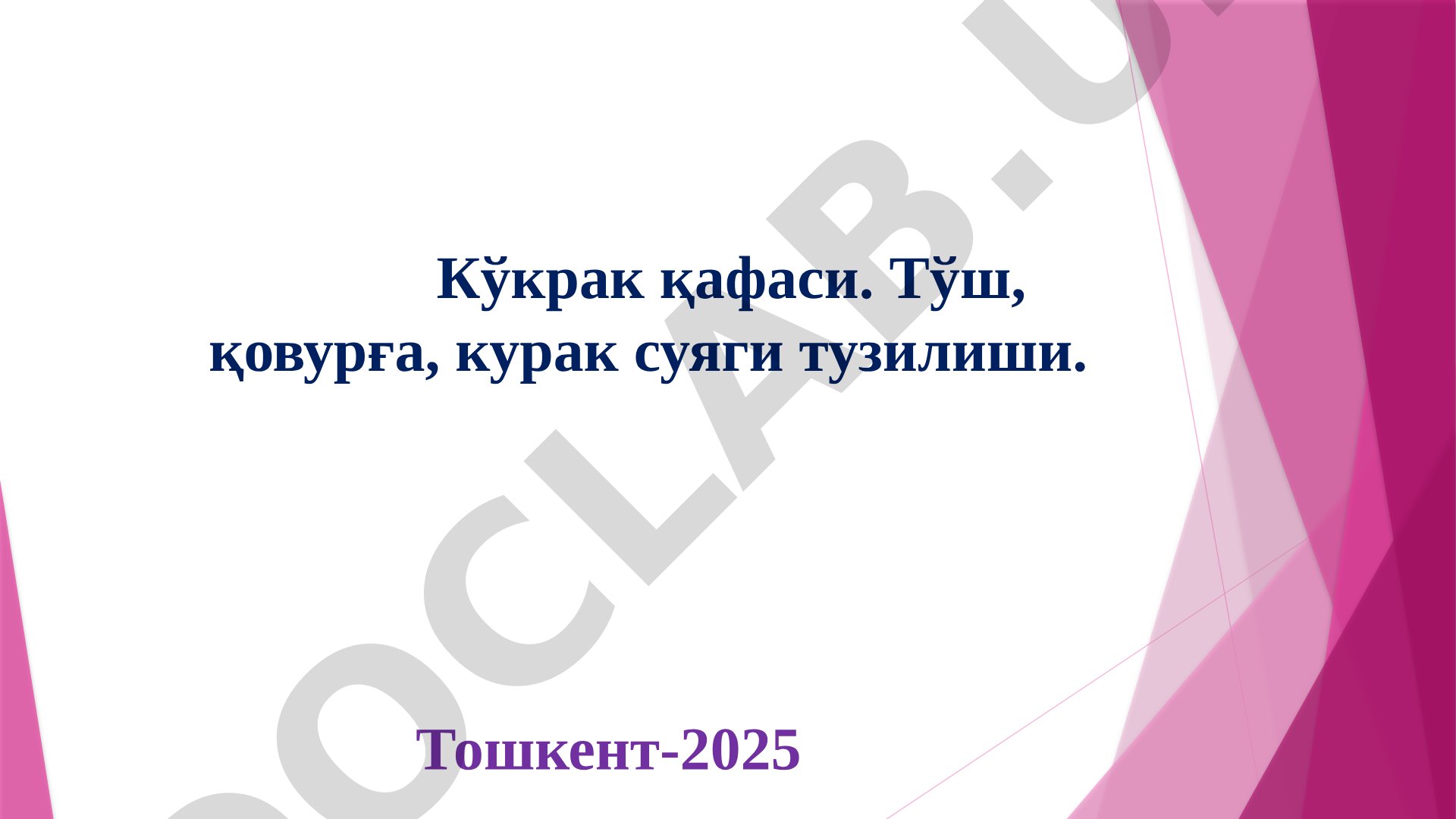 Kўкрак қафаси анатомияси тақдимоти