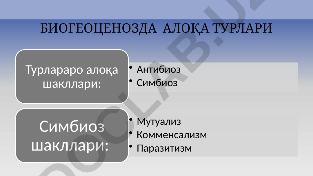 Биогеоценозда алоқа турлари ва паразитизм
