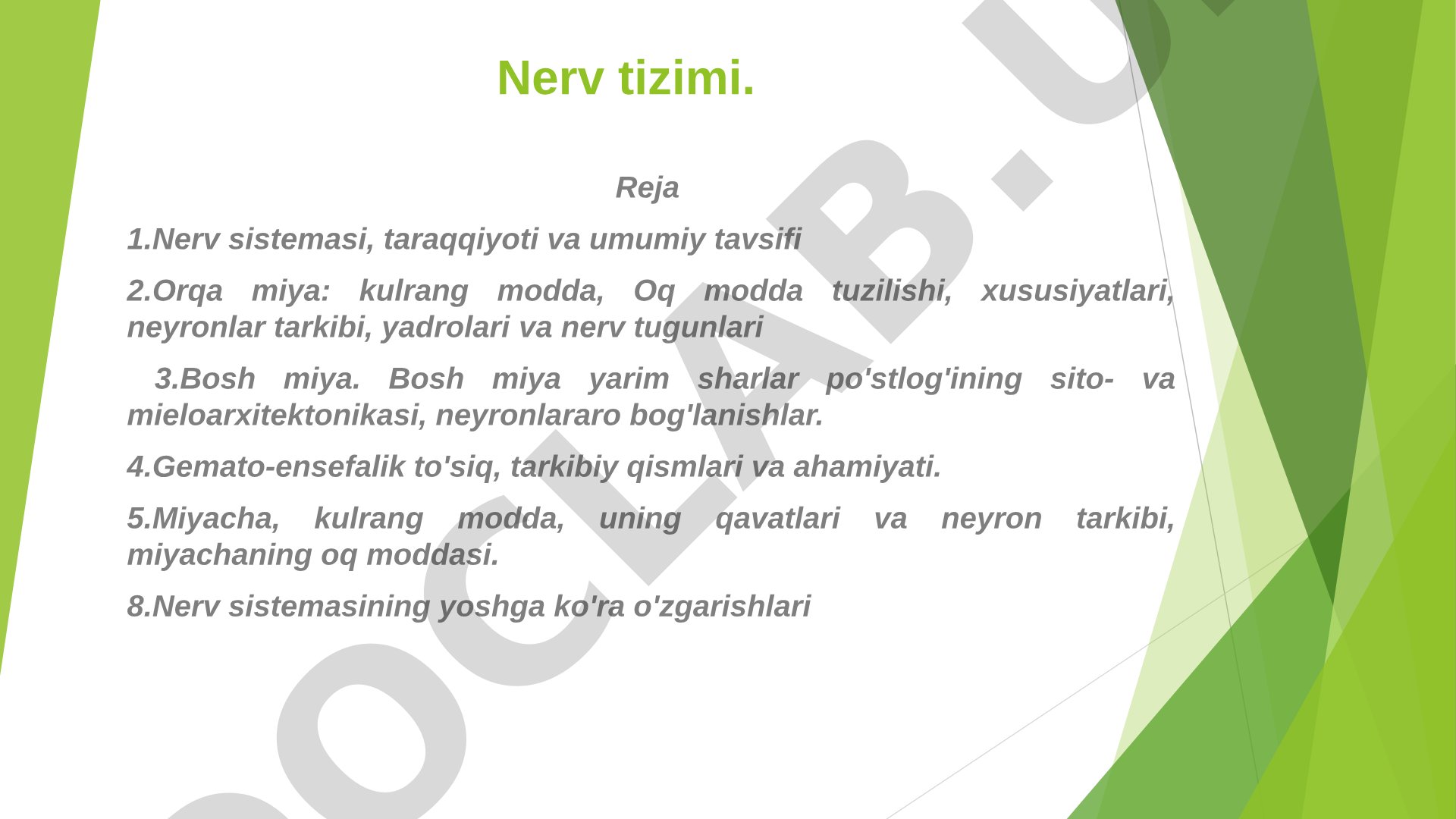Nerv tizimi taqdimoti