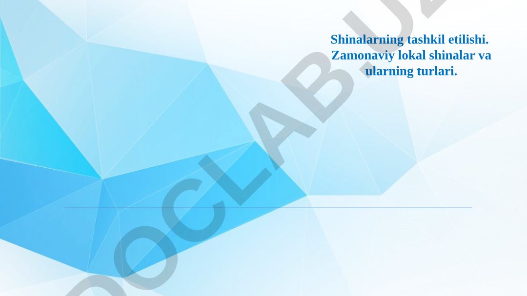 Zamonaviy lokal shinalar va ularning turlari