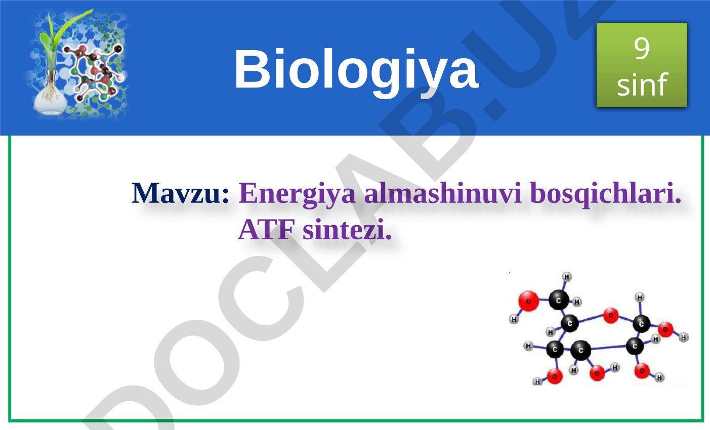 Energiya almashinuvi bosqichlari. ATF sintezi