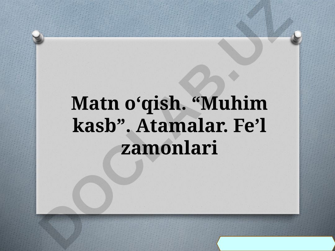 Muhim kasb - veterinarlik sohasi