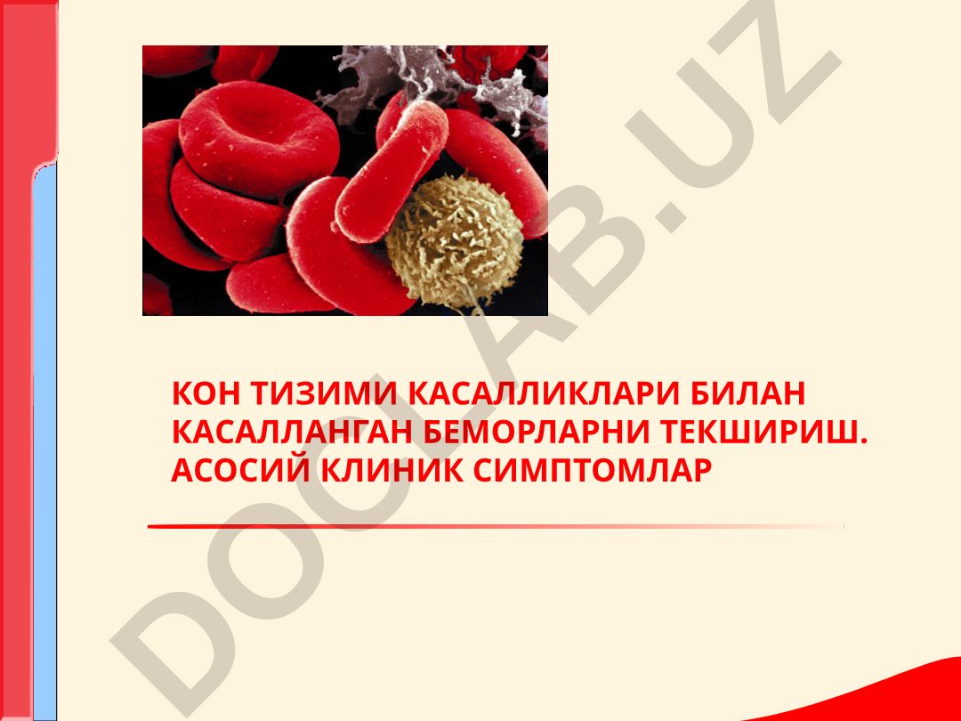 Кон тизими касалликлари билан касалланган беморларни текшириш