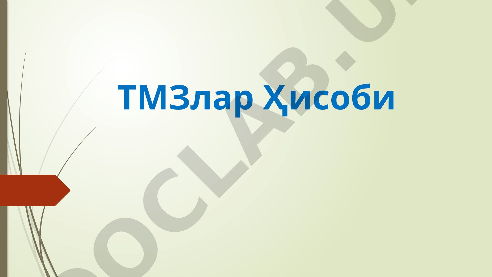 ТМЗлар ҳисоби тақдимоти