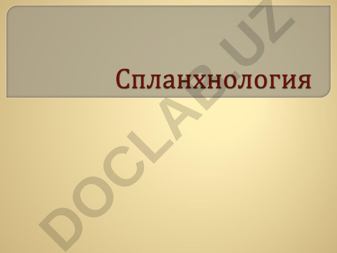 Спланхнология – учение о внутренних органах