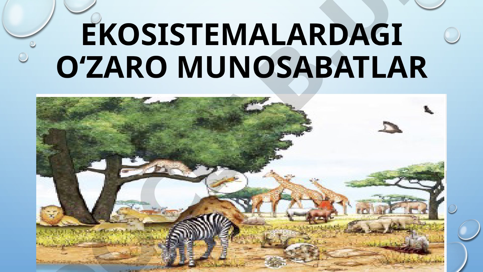 Ekologiya taqdimoti slaydlari