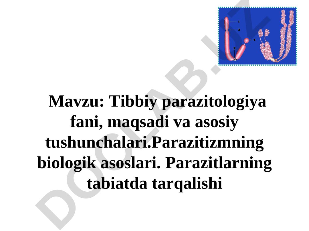 Tibbiy parazitologiya fani, maqsadi va asosiy tushunchalari
