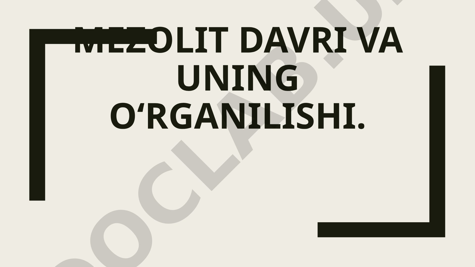 Mezolit davri taqdimoti