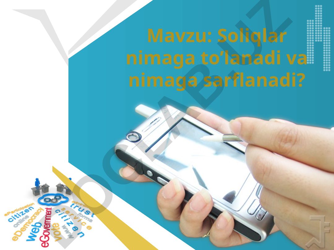 Soliqlar nimaga to’lanadi va nimaga sarflanadi?