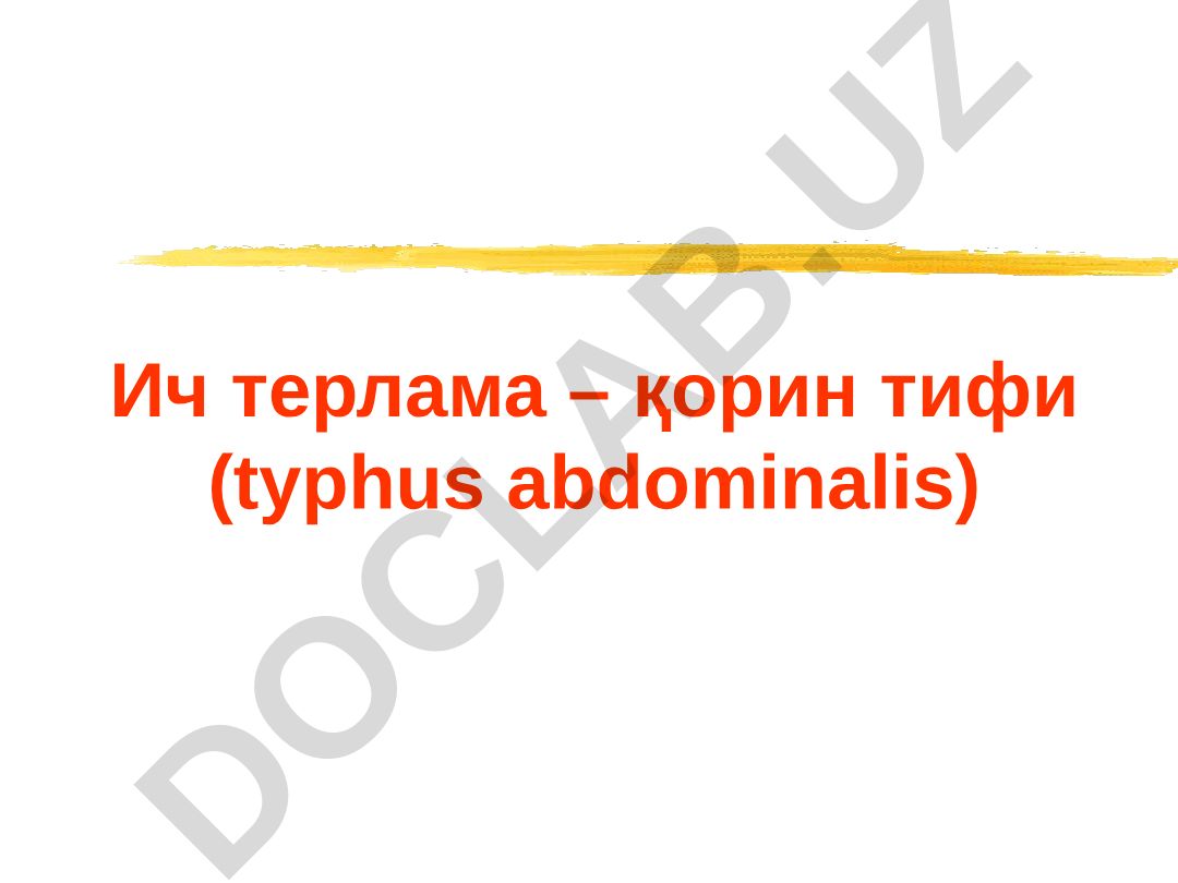 Ич терлама – қорин тифи (typhus abdominalis)