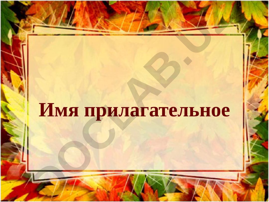 Имя прилагательное как часть речи