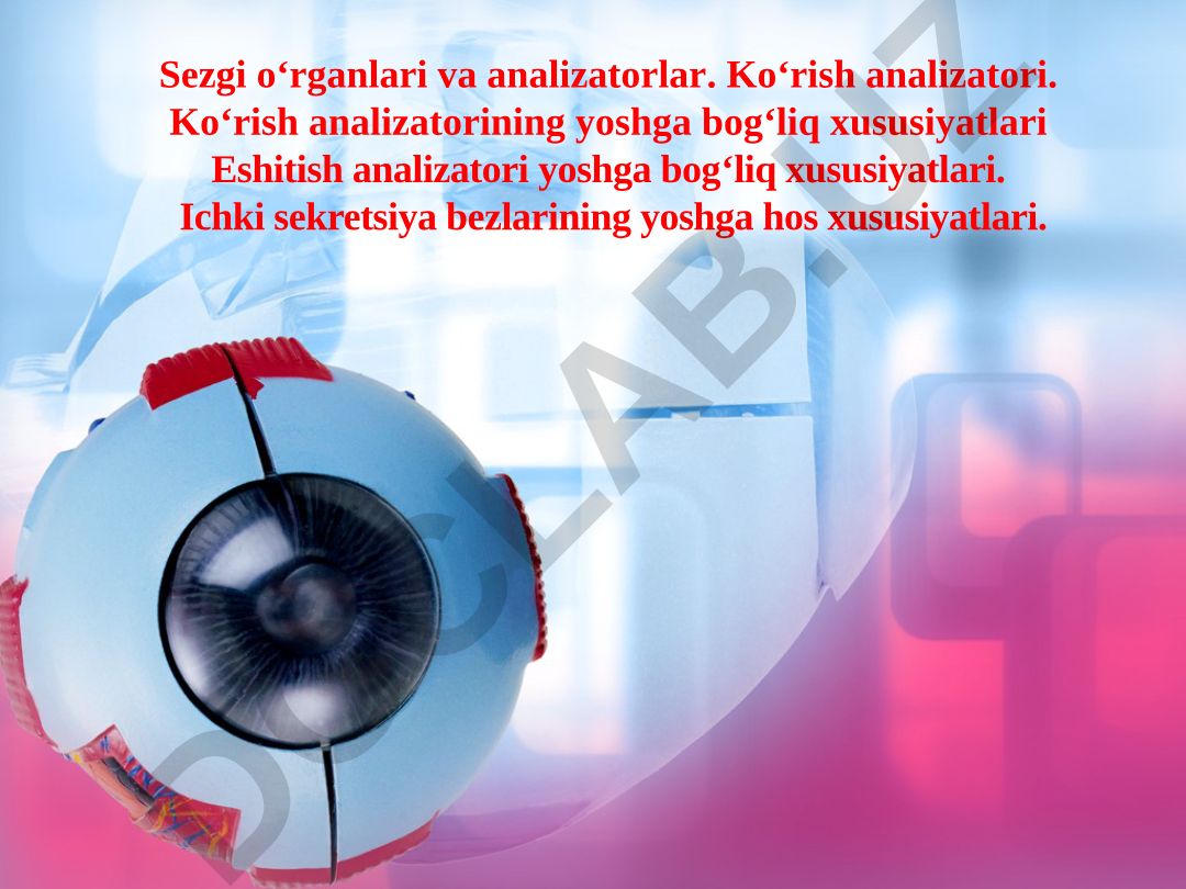 Sezgi organlari va analizatorlar: ko'rish, eshitish va ichki sekretsiya bezlarining yoshga bog'liq xususiyatlari
