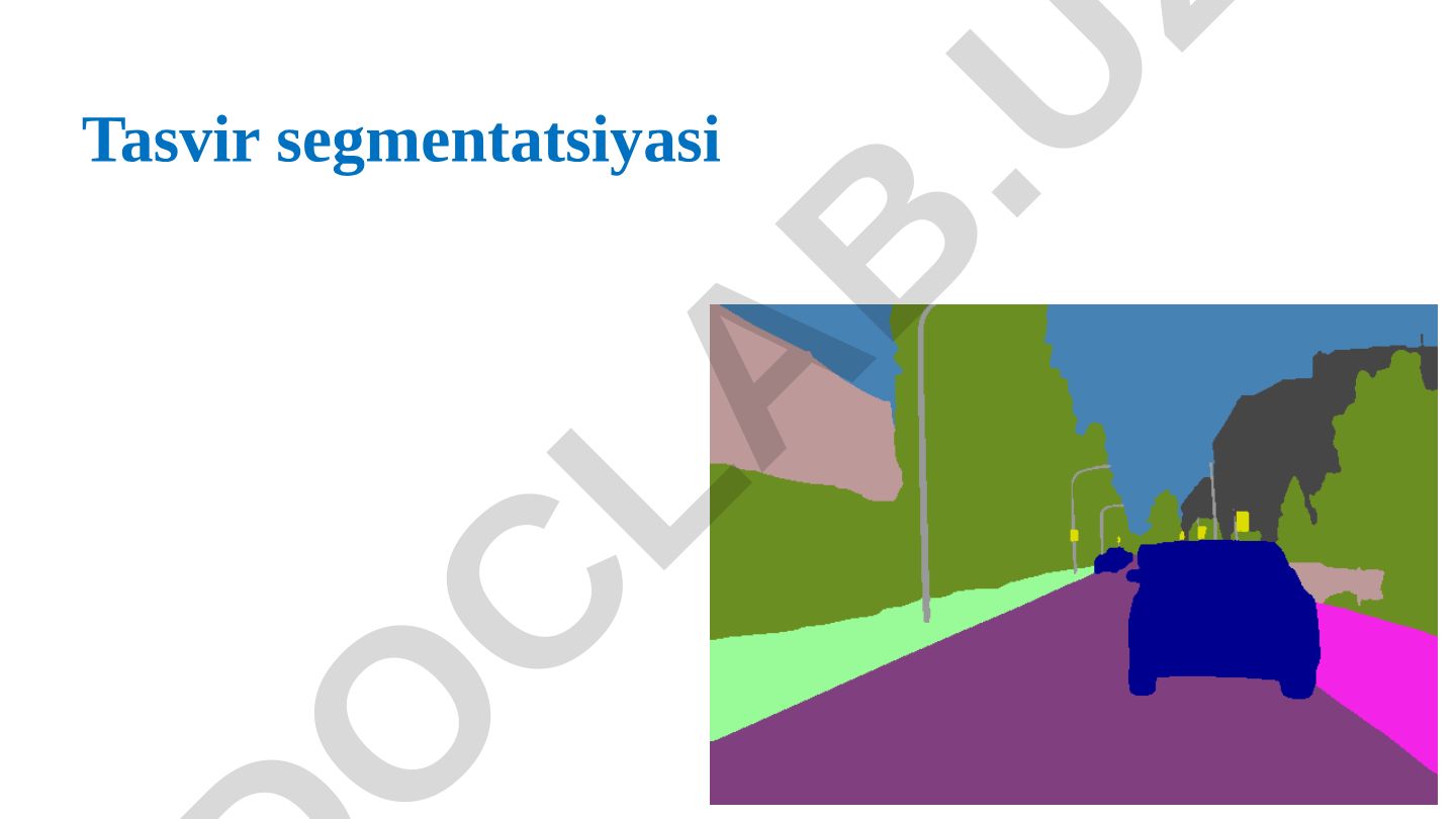 Tasvir segmentatsiyasi