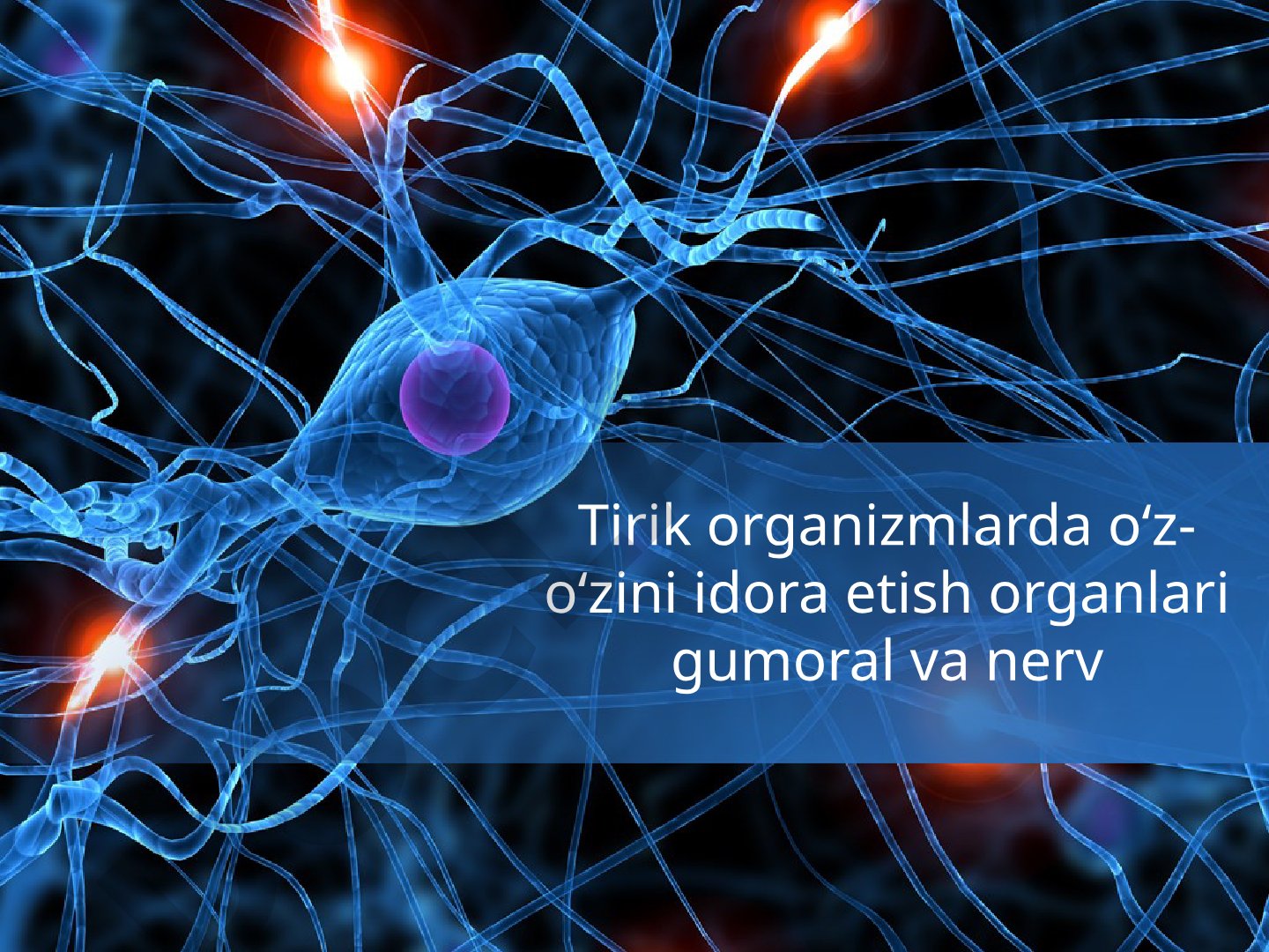 Tirik organizmlarda o‘z-o‘zini idora etish organlari gumoral va nerv