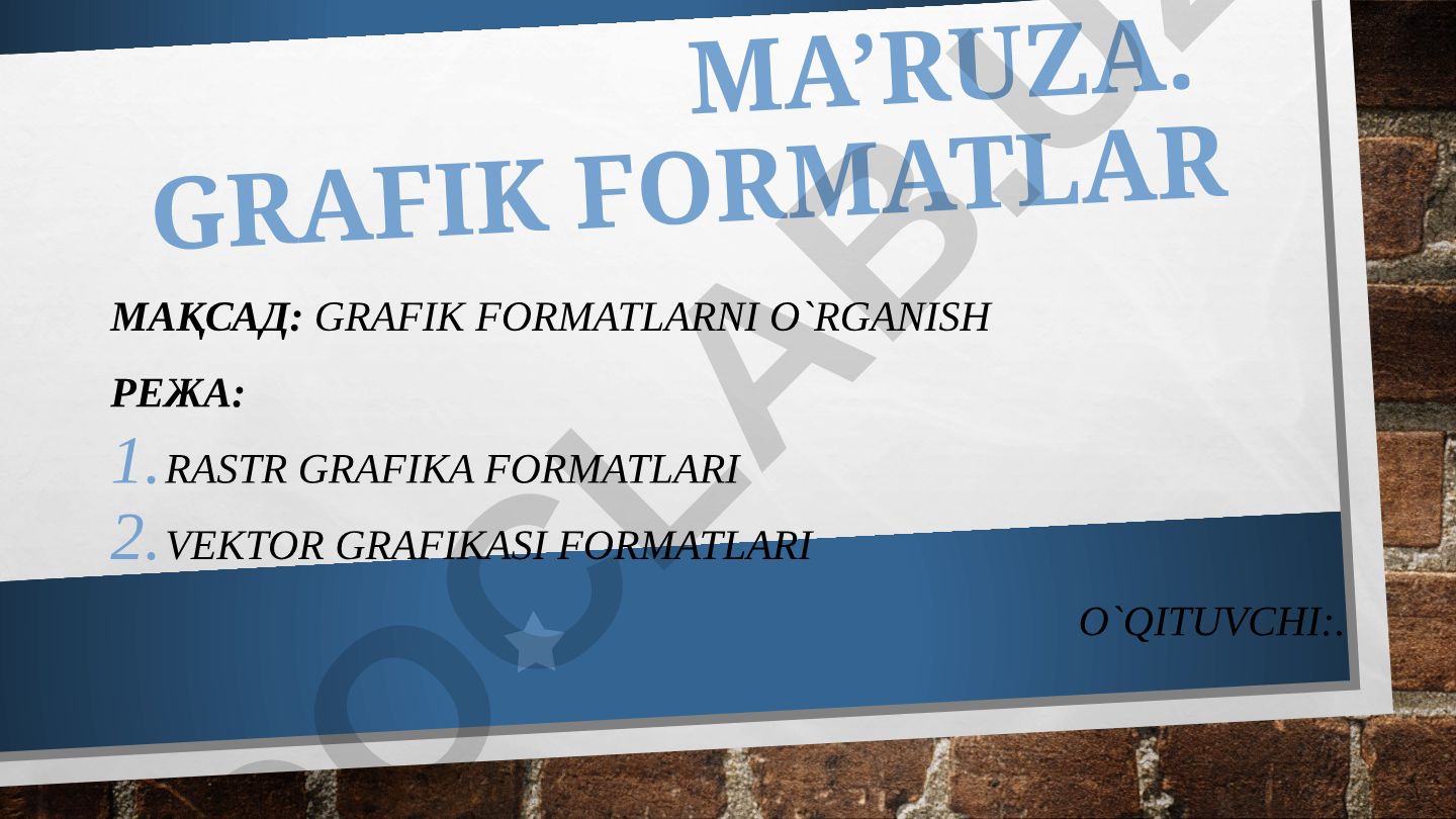 Grafik formatlarni o'rganish