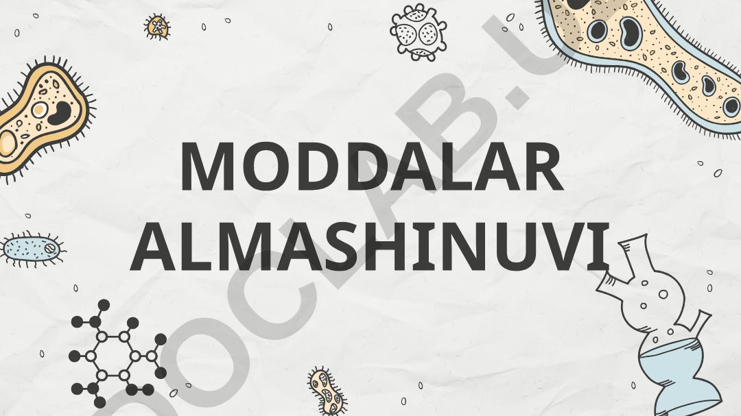 Moddalar almashinuvi va energetik almashinuv bosqichlari