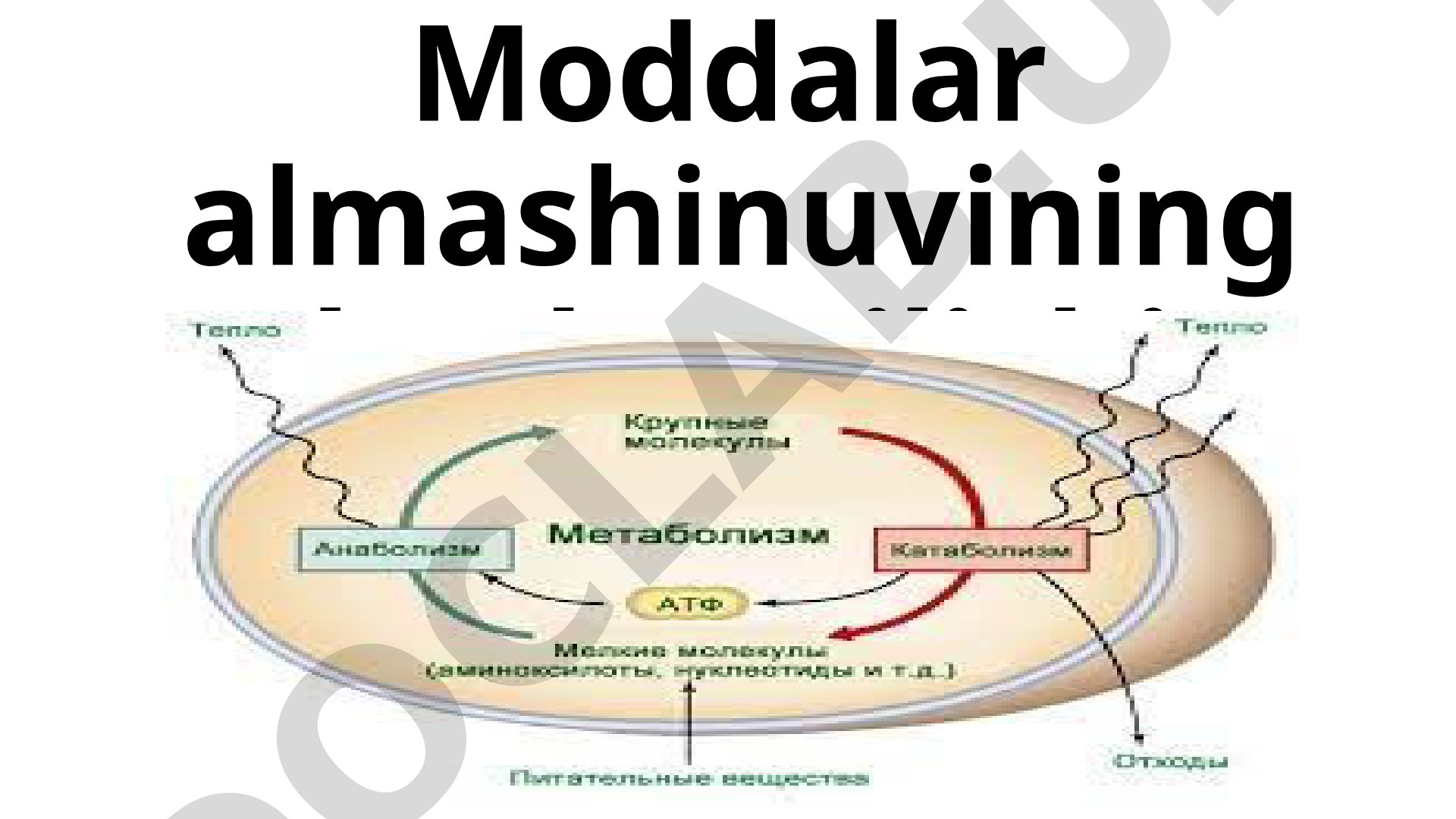 Moddalar almashinuvi taqdimoti