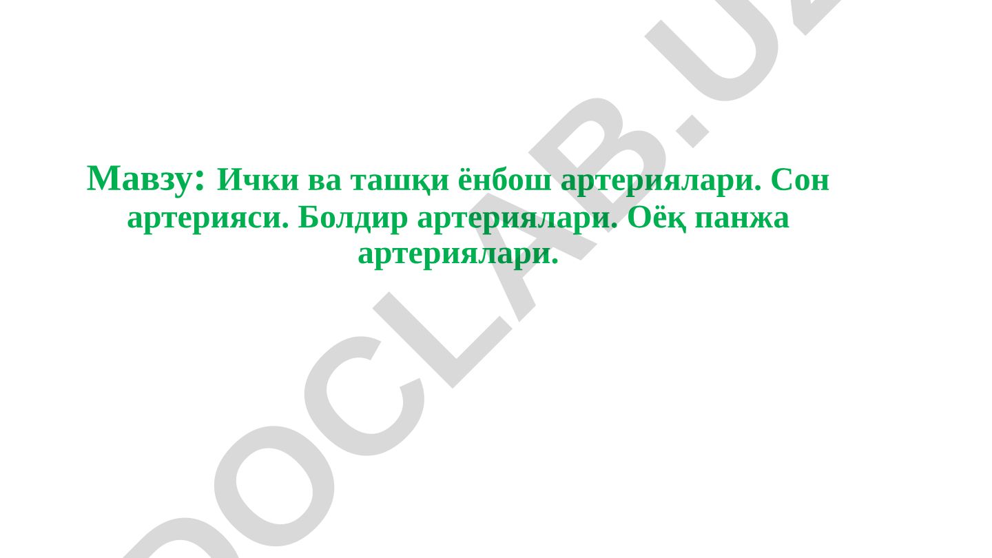 Ички ва ташқи ёнбош артериялари. Сон артерияси. Болдир артериялари. Оёқ панжа артериялари