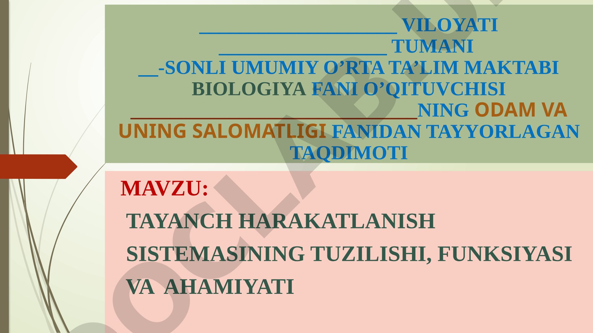 Tayanch harakatlanish sistemasining tuzilishi, funksiyasi va ahamiyati