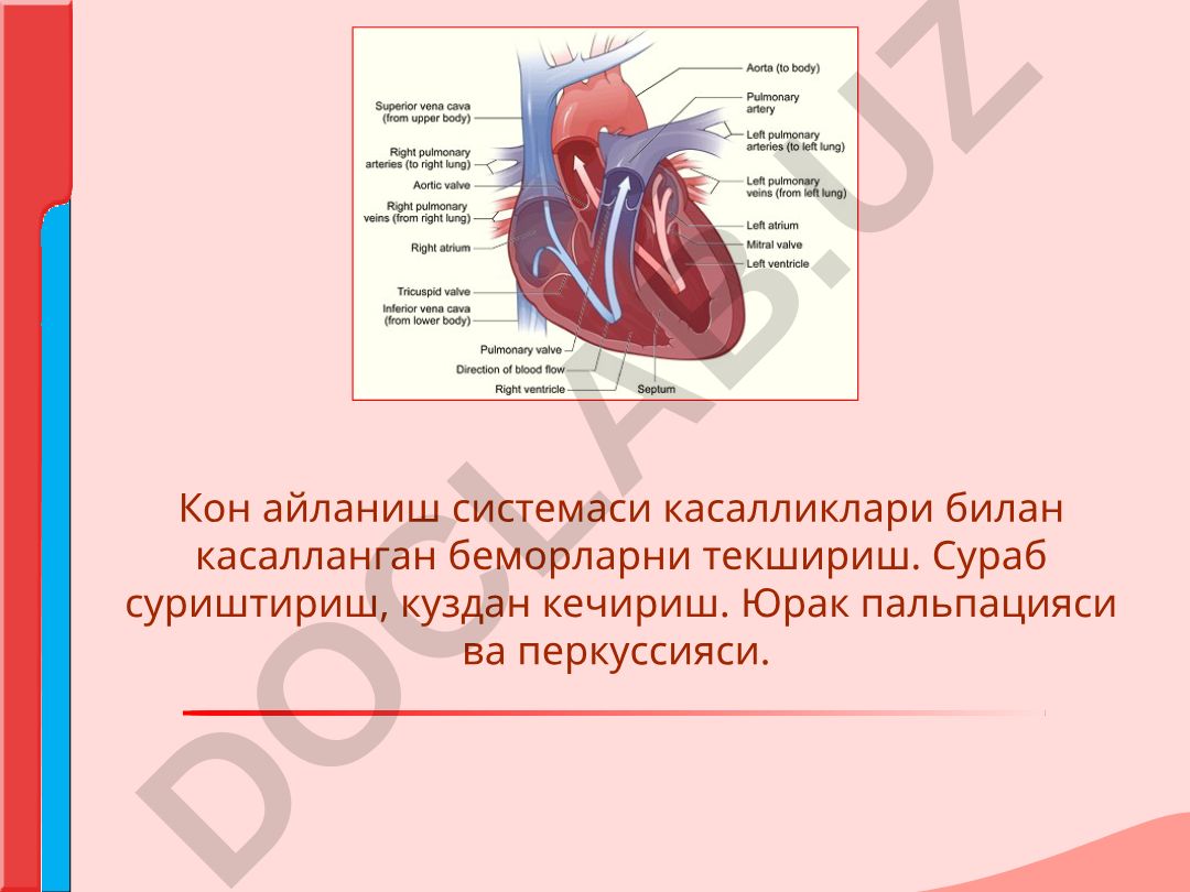 Кон айланиш системаси касалликлари билан касалланган беморларни текшириш
