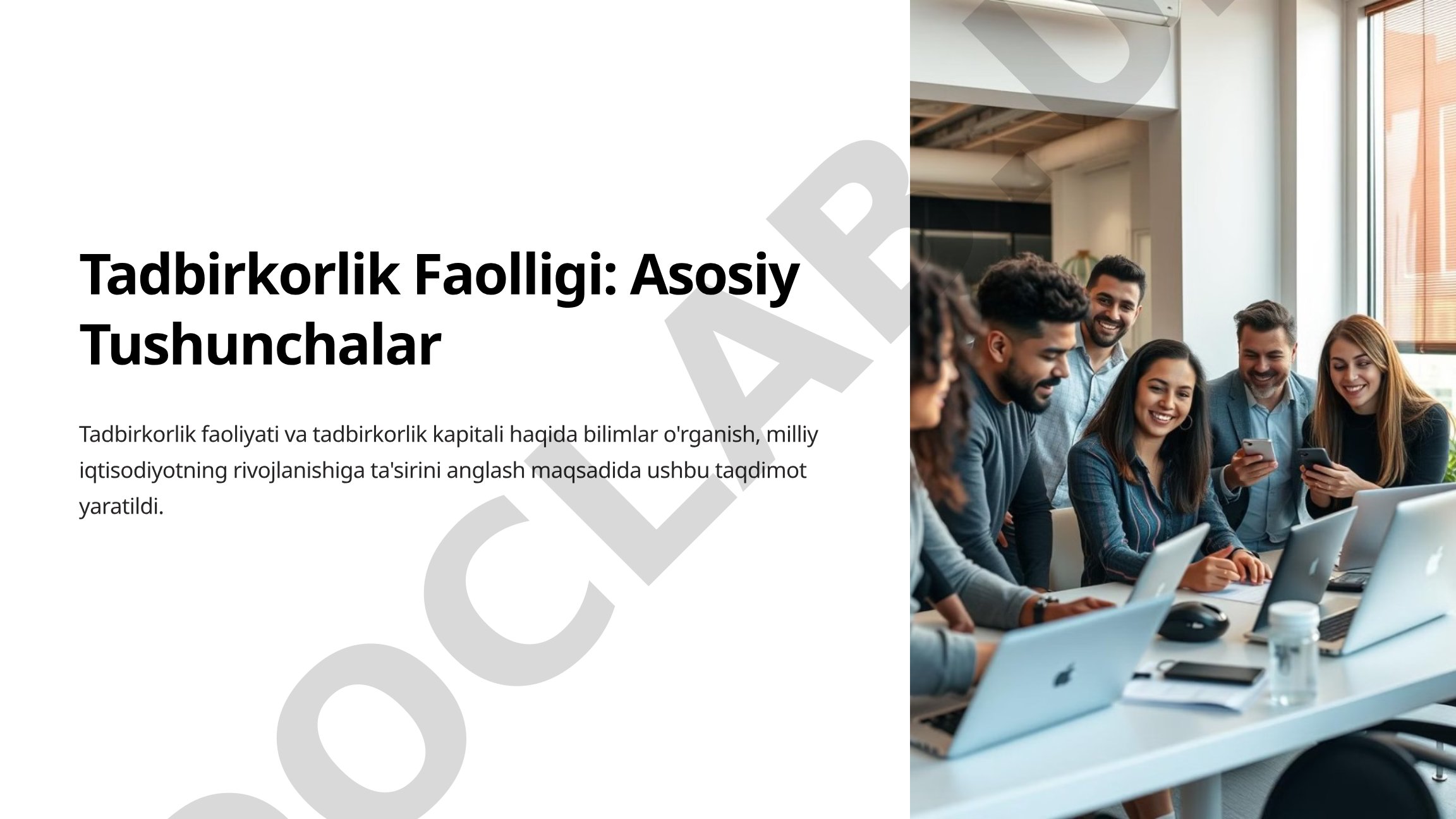 Tadbirkorlik faolligi taqdimoti