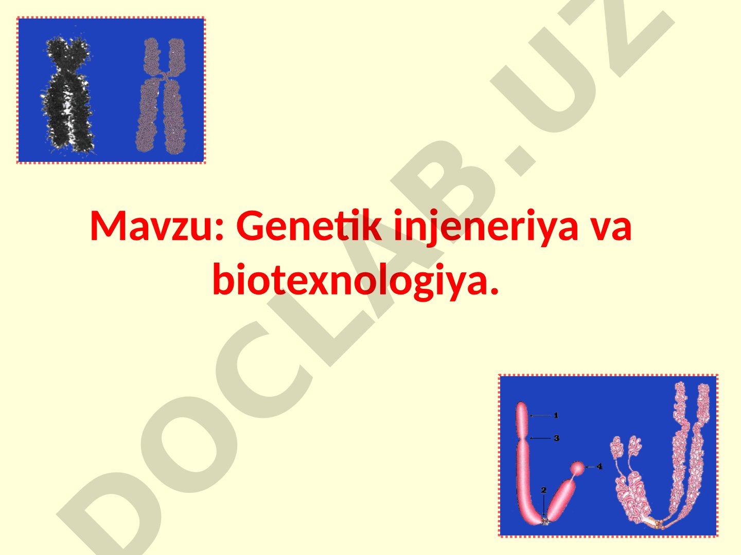 Genetik injeneriya taqdimoti