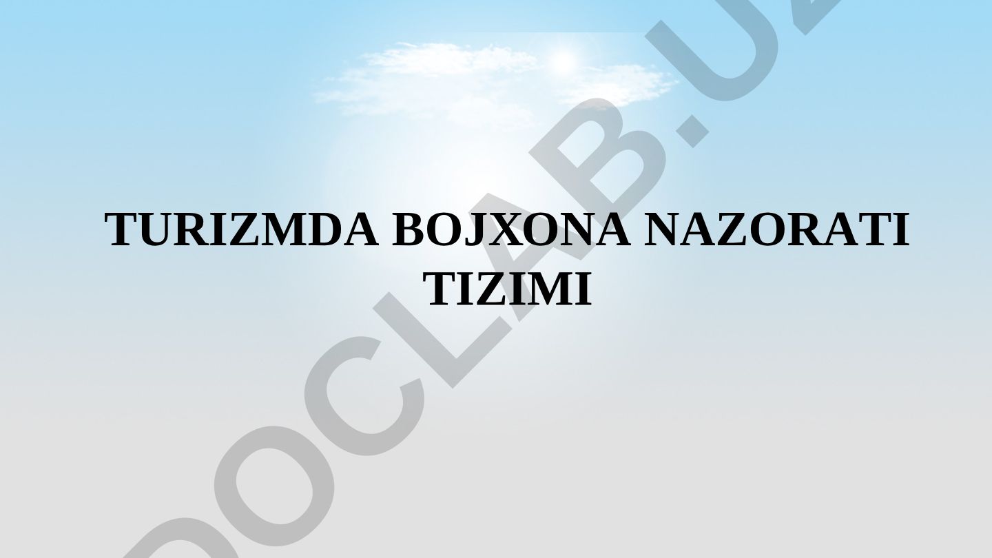 Turizmda bojxona nazorati tizimi