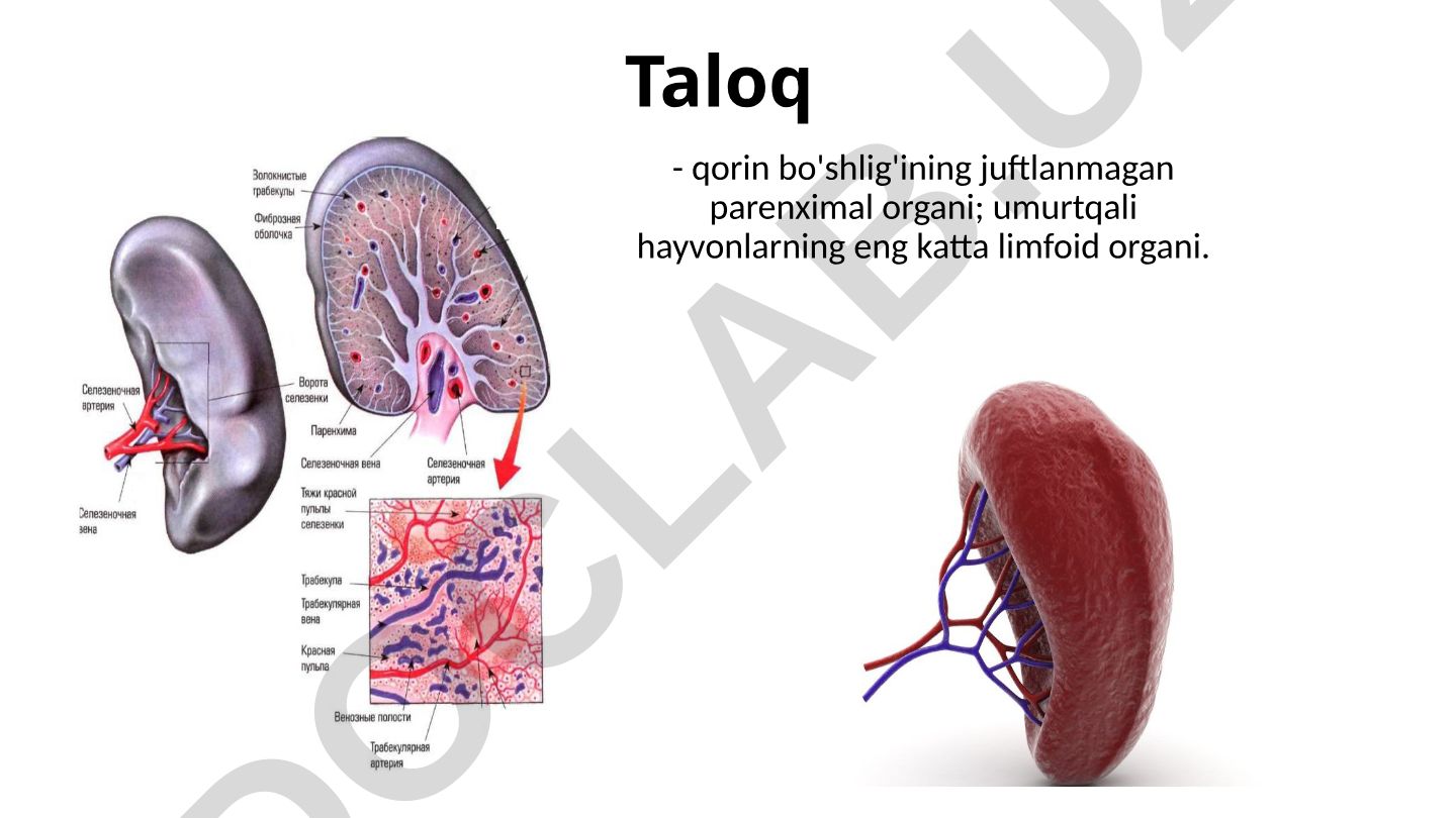 Taloqning tuzilishi, vazifalari va ahamiyati