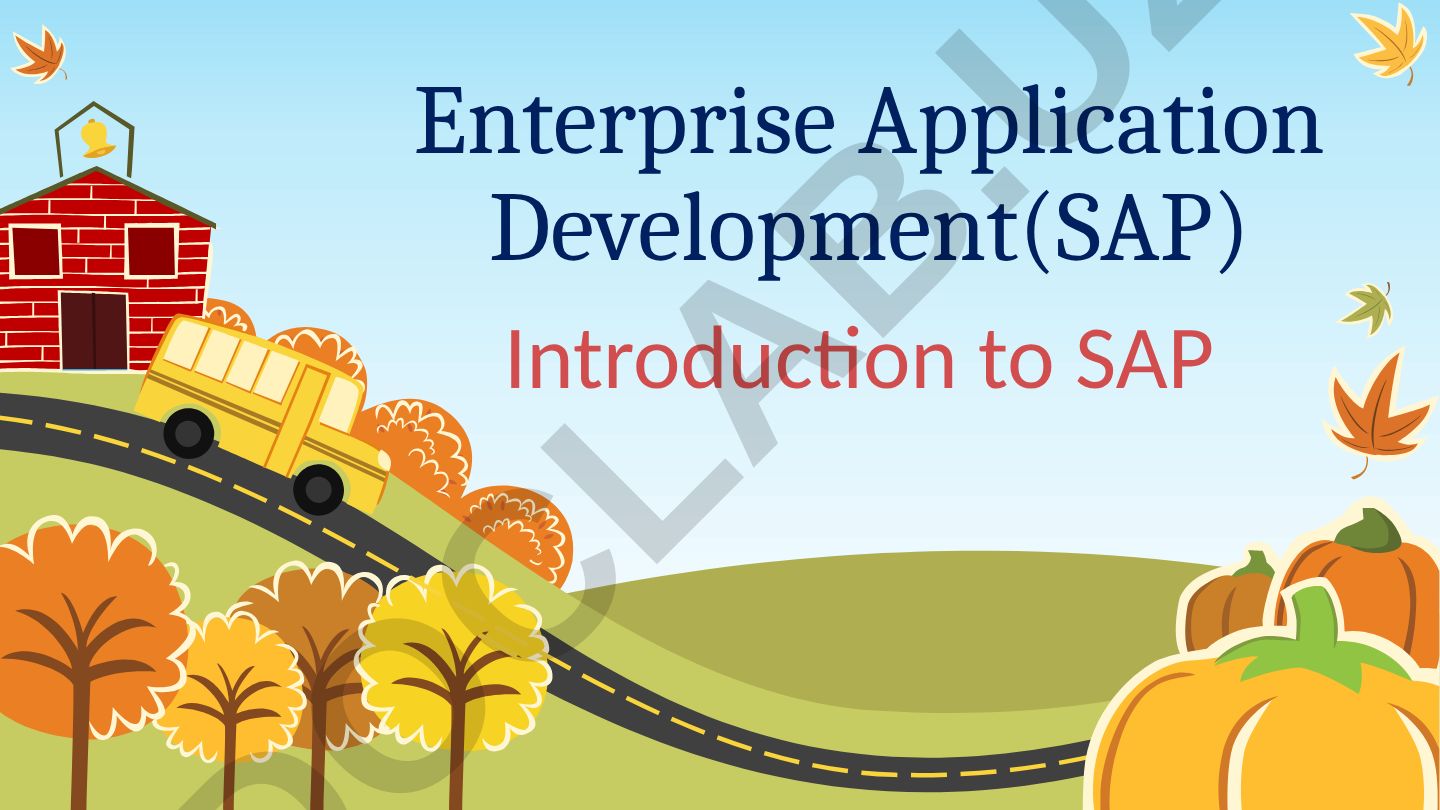 Enterprise Application Development (SAP) Introduction