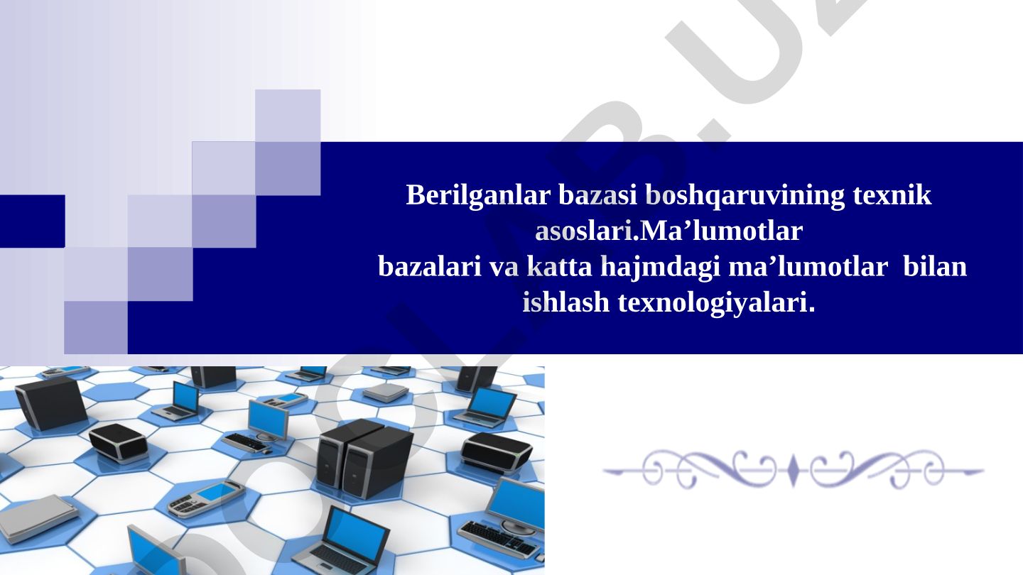 Berilganlar bazasi boshqaruvining texnik asoslari