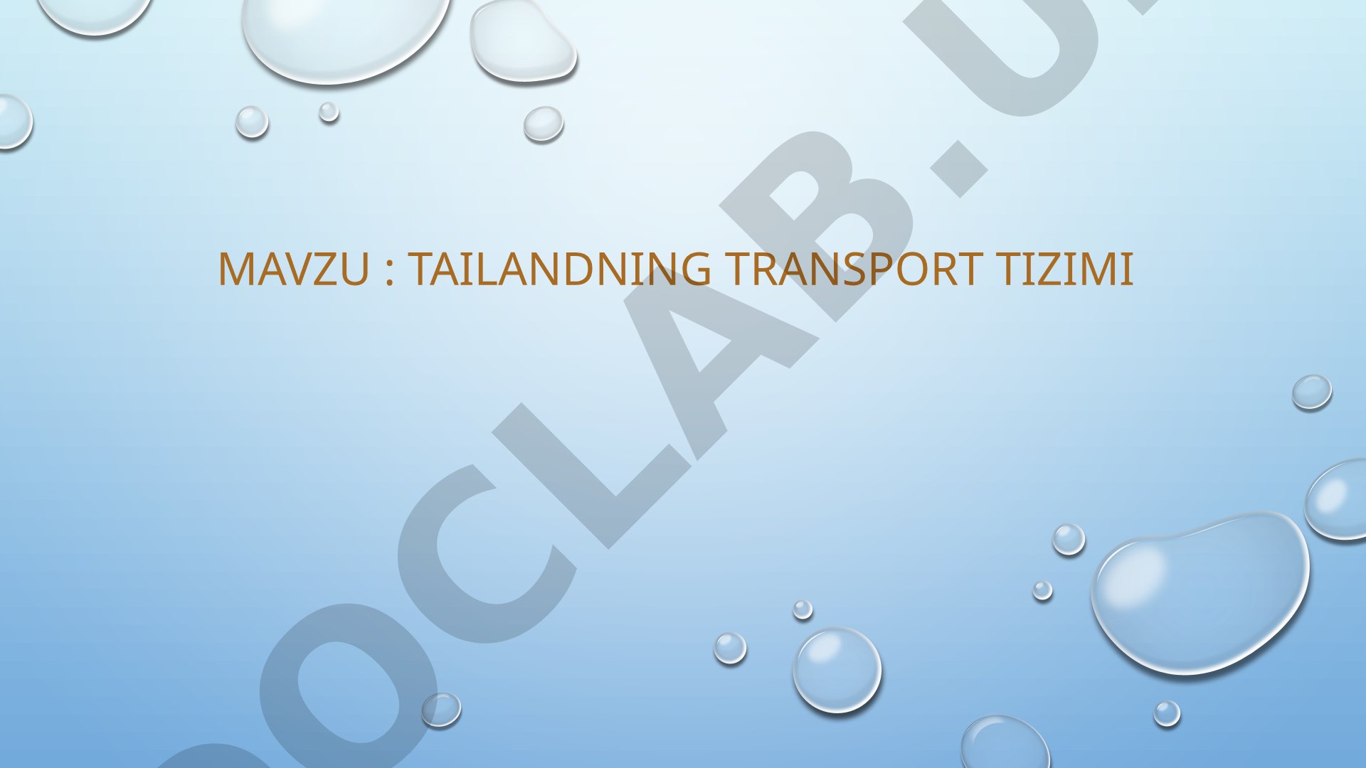 Tailand transport tizimi taqdimoti
