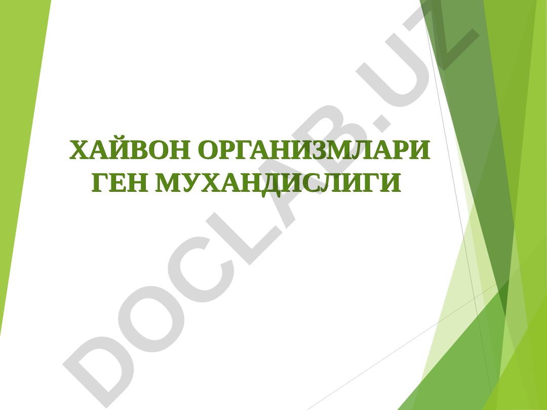 Хайвон организмлари ген мухандислиги трансген ҳайвонларнинг олиниши (услубиёт)