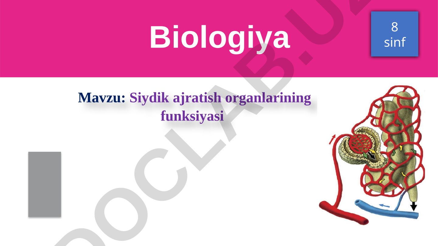 Siydik ajratish organlarining funksiyasi