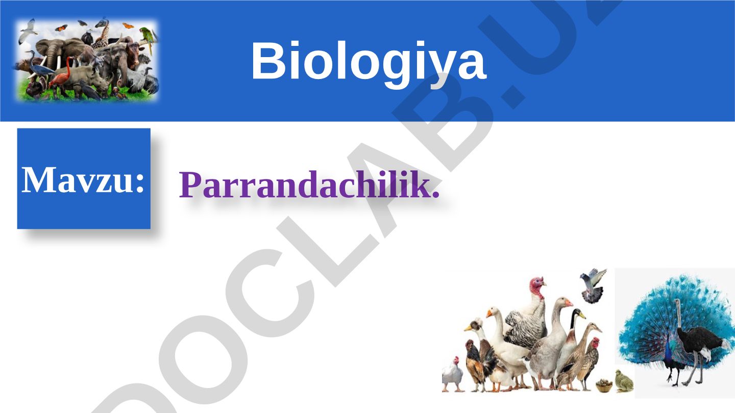 Parrandachilik. Biologiya 1 DARS REJASI Xonaki parrandalar