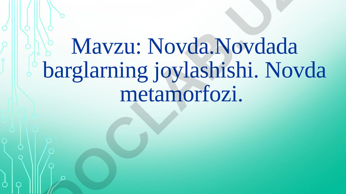 Novda.Novdada barglarning joylashishi. Novda metamorfozi