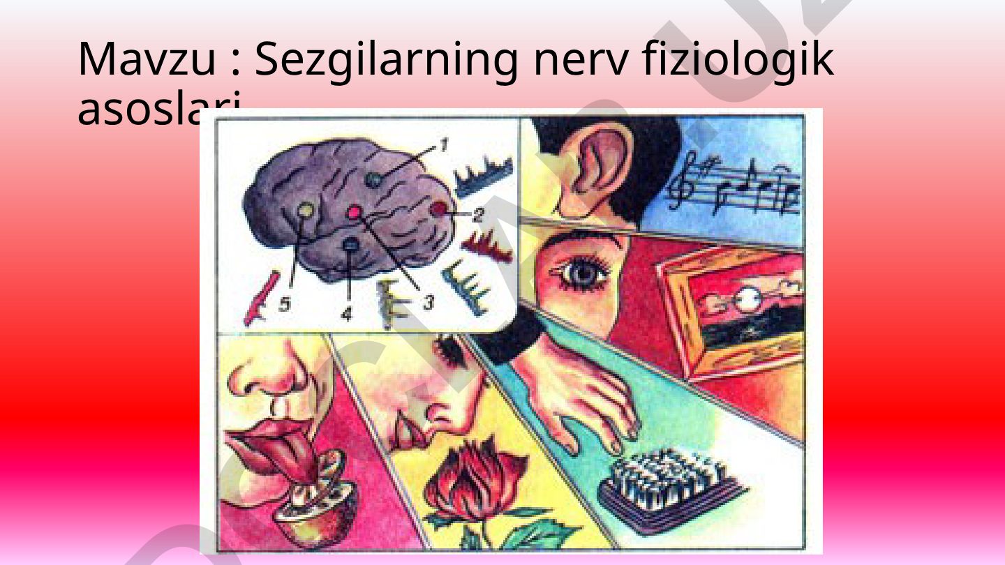 Sezgilarning nerv fiziologik asoslari