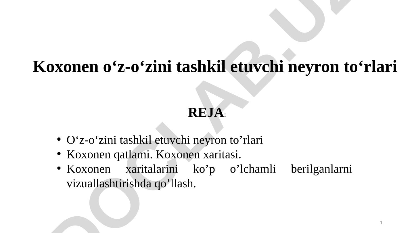 O'z-o'zini tashkil etuvchi neyron to'rlari Koxonen xaritasi