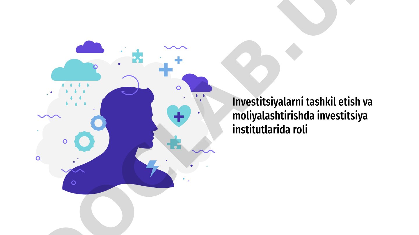 Investitsiya institutlarining tashkil etish va moliyalashtirishdagi roli