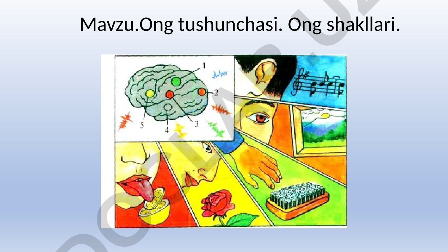 Ong tushunchasi. Ong shakllari