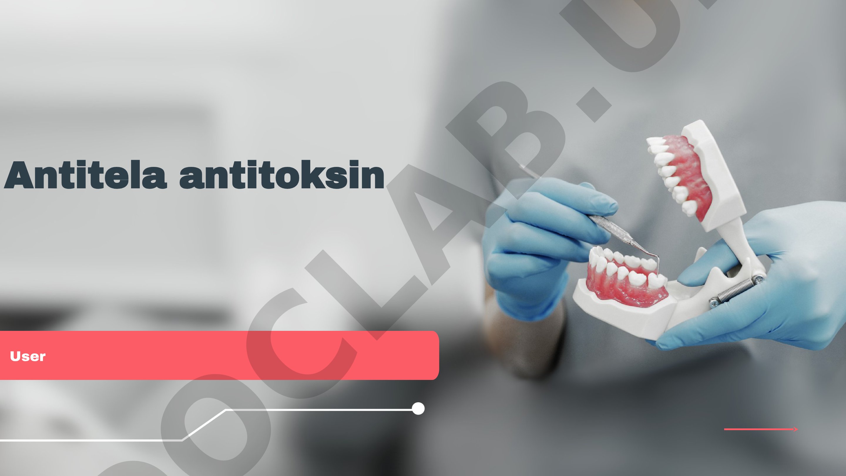 Antitela va antitoksin taqdimoti