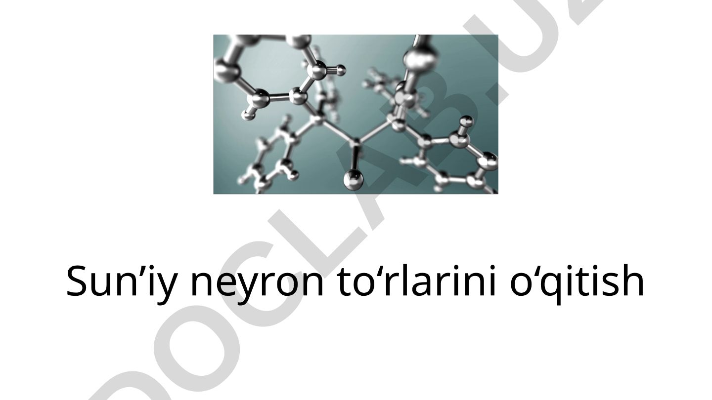 Sun'iy neyron to'rlarini o'qitish