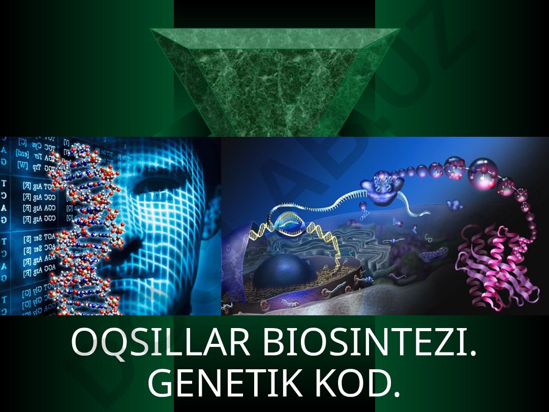 Plastik almashinuv va oqsillar biosintezi